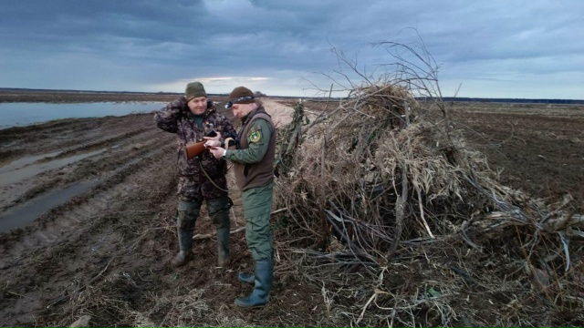 Приём заявок на разрешения для весенней охоты начинается в Подмосковье