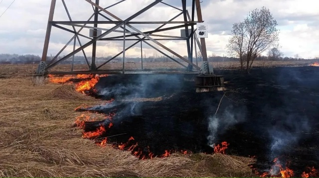 На окраине посёлка Пески вспыхнул травяной пал
