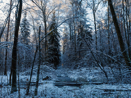 Ночные температуры в Подмосковье достигли минимума 