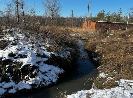 Организатора свалки в Коломне оштрафовали