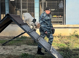 Представитель Общественного совета при УМВД России г.о. Коломна проверил Центр кинологической службы