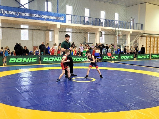 Юные таланты греко-римской борьбы Луховиц показали мастерство на ковре