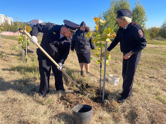 В Коломне полицейские присоединились к акции "Лес Победы"