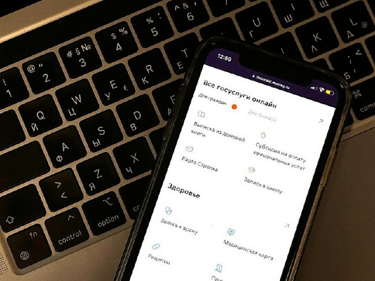 ТОП-5 популярных запросов на Госуслугах в Московской области