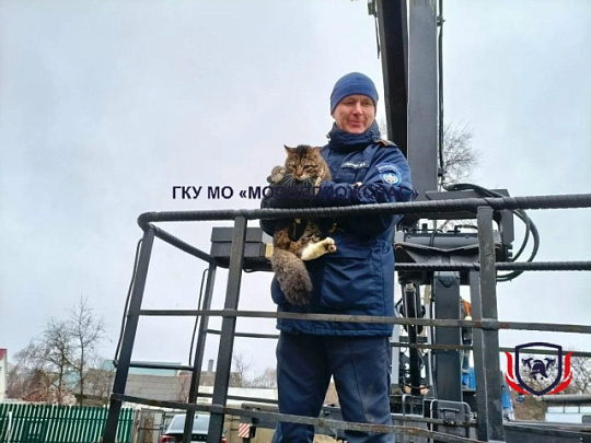 Два дня на пихте в Серебряных Прудах