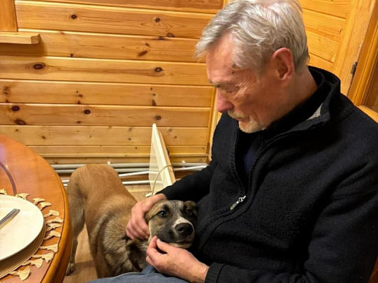 Звезда "Любовь и голуби" подарил дом собаке из брошенной деревни  