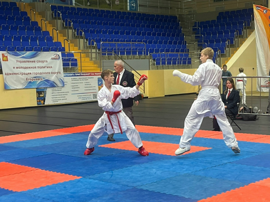 Открытый Кубок "Виктории" и Первенство округа по ВБЕ 