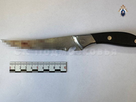 Жительница Егорьевска задержана по подозрению в покушении на убийство сожителя  