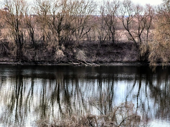В Коломне из воды вытащили тело женщины