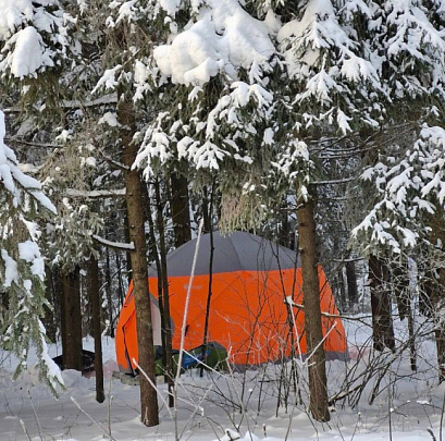 Безопасность и экологическая ответственность в зимнем лесу