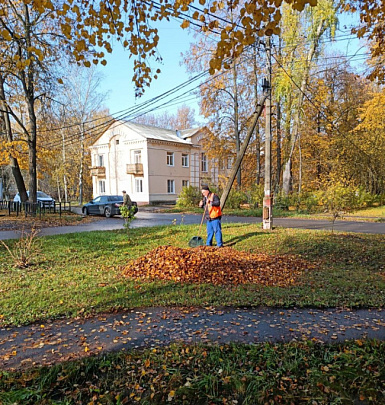 Сотрудники ДГХ убирают опавшую листву с коломенских дворов