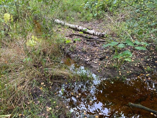 Незаконная свалка в Коломне обошлась нарушителю в 620 тысяч рублей