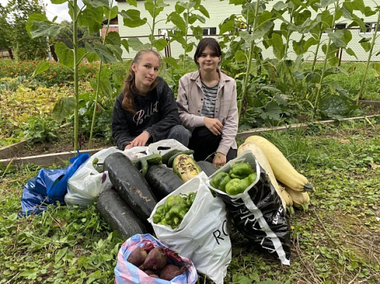 Урожай с пришкольного огорода собрали в Коломне