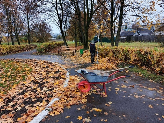 В Коломне проводят уборку опавшей листвы
