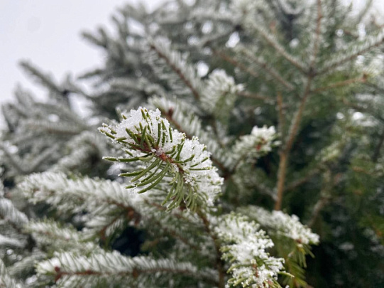 Аниматоры-волшебники заработают больше IT-специалистов