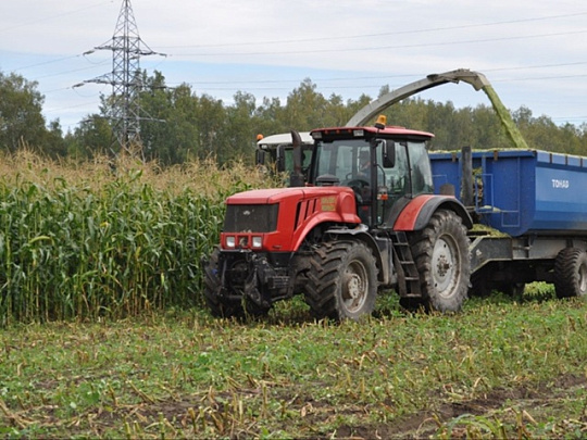 Озёрские аграрии готовятся обеспечить скот полноценным питанием на зиму