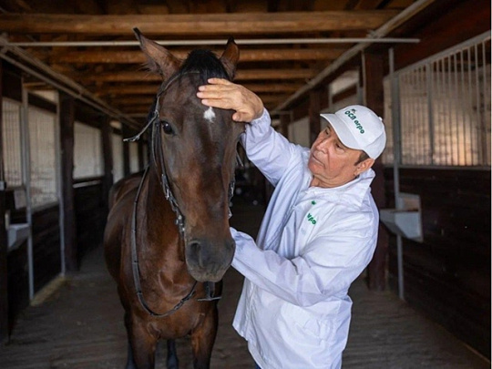 Аграрии из Озёр получили признание Минсельхоза Московской области