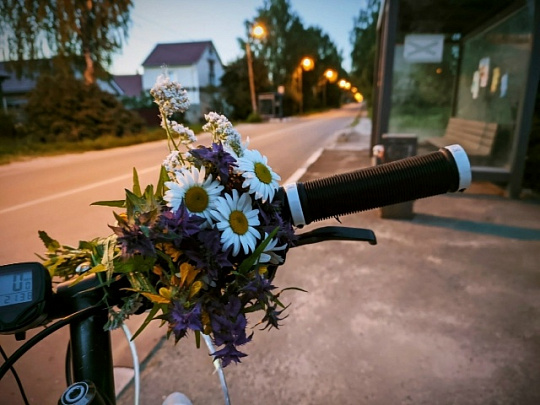 Пассажиры ЦППК стали чаще перевозить велосипеды