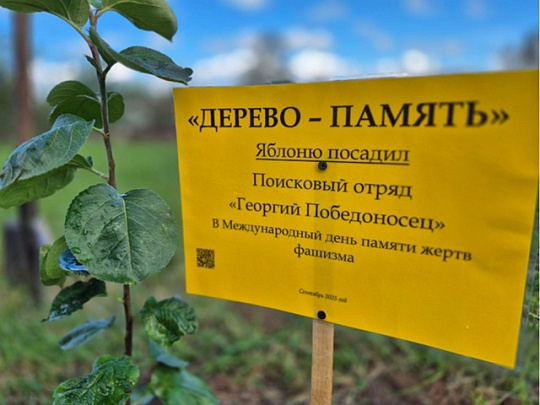 Озёрские и коломенские школьники присоединились к акции "Сад памяти"