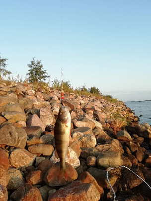 В Подмосковье начинается нерестовый период
