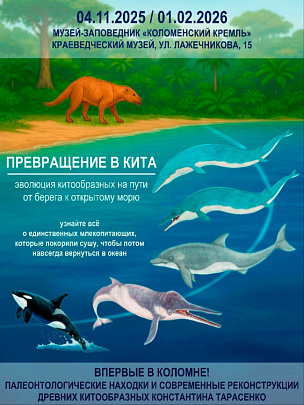 "Превращение в кита"