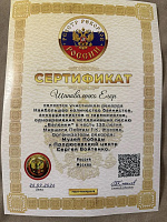 Коломенец стал участником грандиозного шествия баянистов, аккордеонистов и гармонистов в Москве