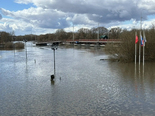 Уровень воды в реках городского округа Коломна начал понижаться