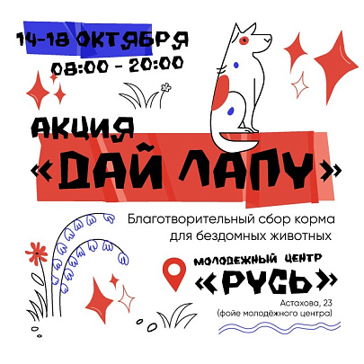 Коломенские волонтёры проводят акцию "Дай лапу!"
