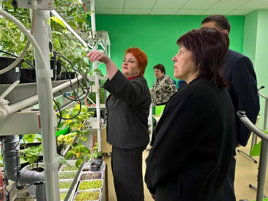 Социальный центр "Коломенский" и Емельяновская школа формируют инклюзивную систему